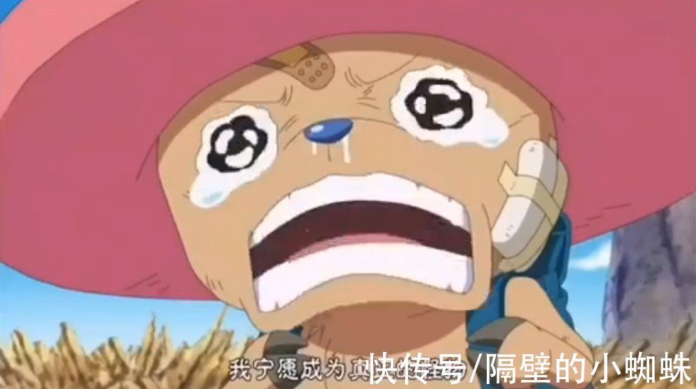 罗宾|海贼王:两年的修炼,让草帽团整体实力暴涨,也失去了4样东西