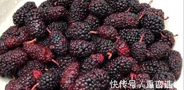 水果店|你还在买桑葚吃吗知道的人还不多,看后抓紧转告身边人