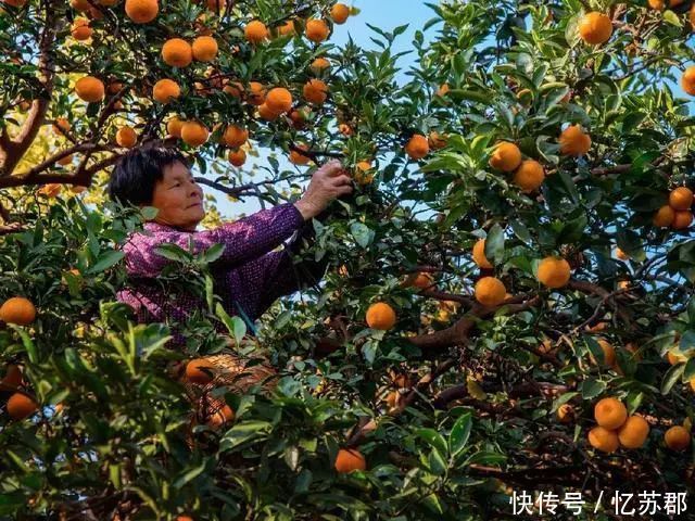 初冬|初冬旅行首选地，美成了天堂中的天堂