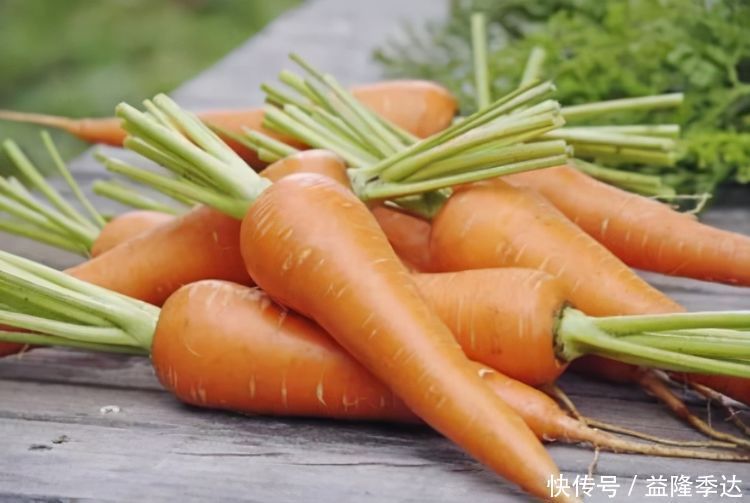 排毒養顏|會吃的人最健康,3種食物不錯過,排毒養顏,利于長壽