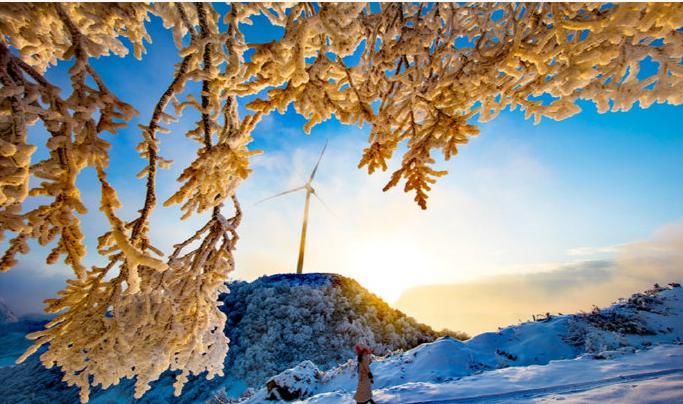 雪景|想看全国最美雪景？马上安排！