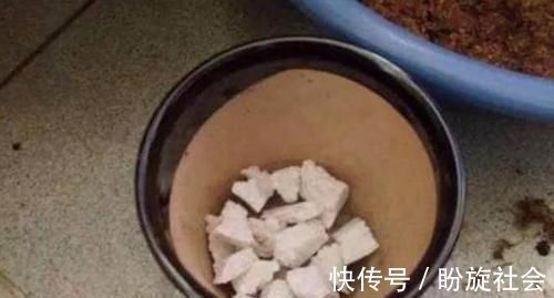 泡沫板你扔了拿来养花,有大用处,3-5天花卉就生根