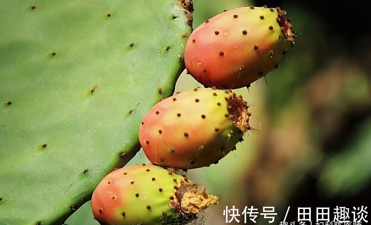 养生|夏天养生很关键，推荐3种食物，排毒抗衰，呵护肌肤，营养又瘦身