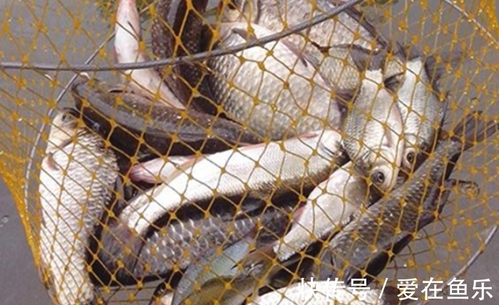 冬季钓鱼,用这4招撬开鱼口,渔获可提升3倍