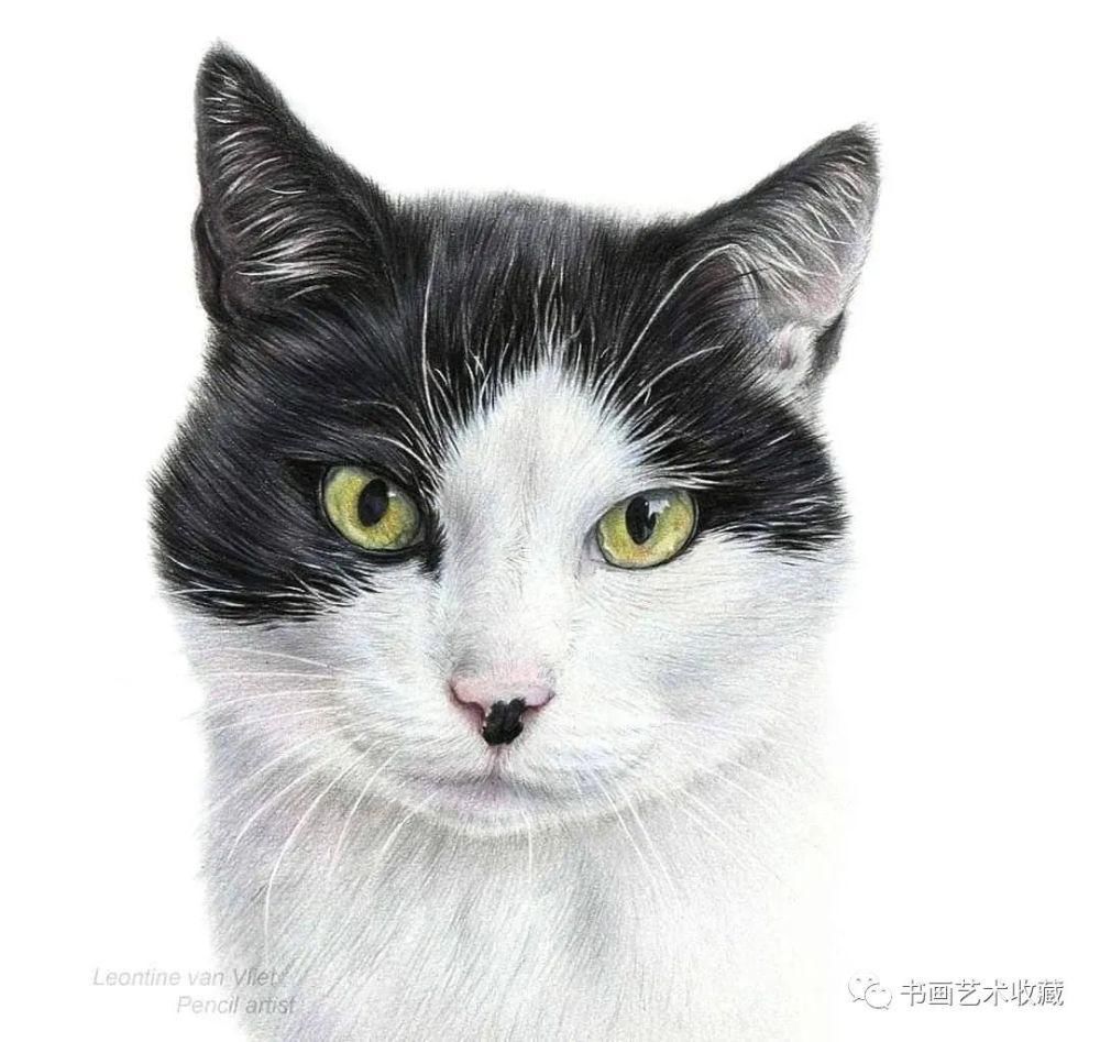  美女|一匹马画了16年！美女学渣逆袭成功，坚持下来很酷！