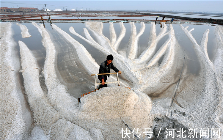 海盐|走进河北海岸线上的盐场，为您讲述海盐背后那些鲜为人知的故事。