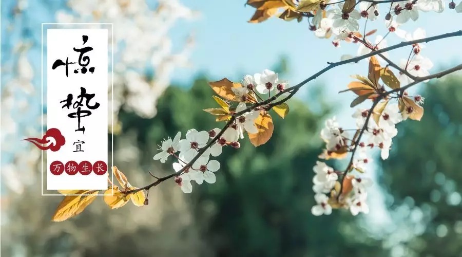 28首惊蛰诗词,惊醒最美春天