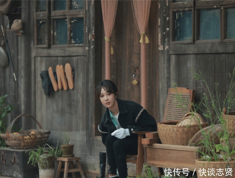 陈赫 《向往5》小算盘落空,杨紫离开节目后,老友记播放次数直线下降