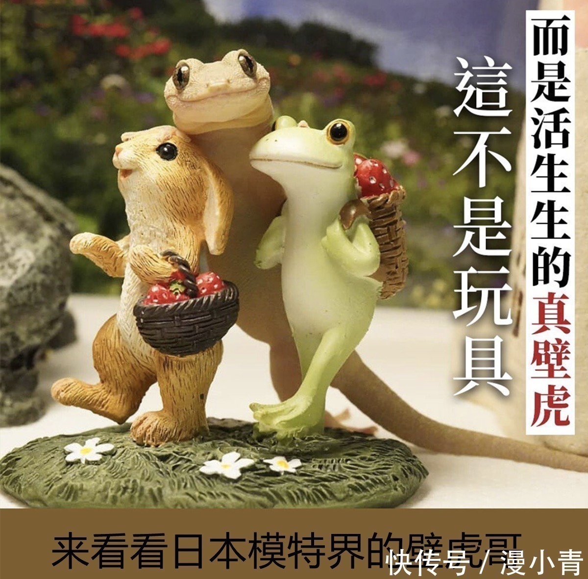 二次元|三次元的壁虎喜欢拍照,萌出二次元的感觉,这是转生成为壁虎吧