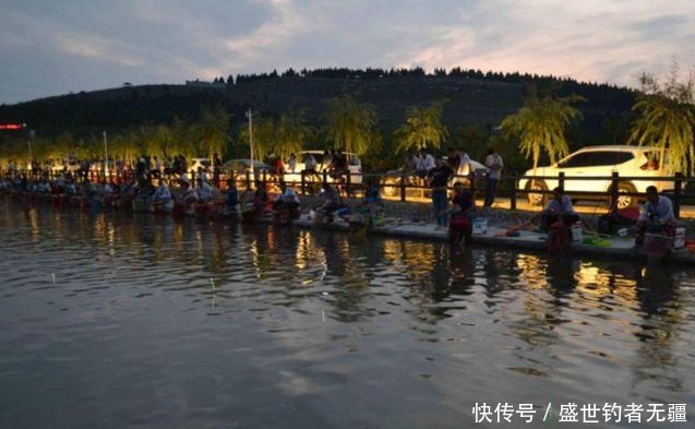 鱼总是在窝边翻,不吃钩?试试这种钓法,命中率极高——盛世三渔