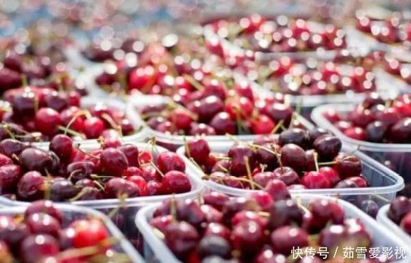 水果|这些水果换了一个洋名字,价格就翻倍了,遇到不要可上当