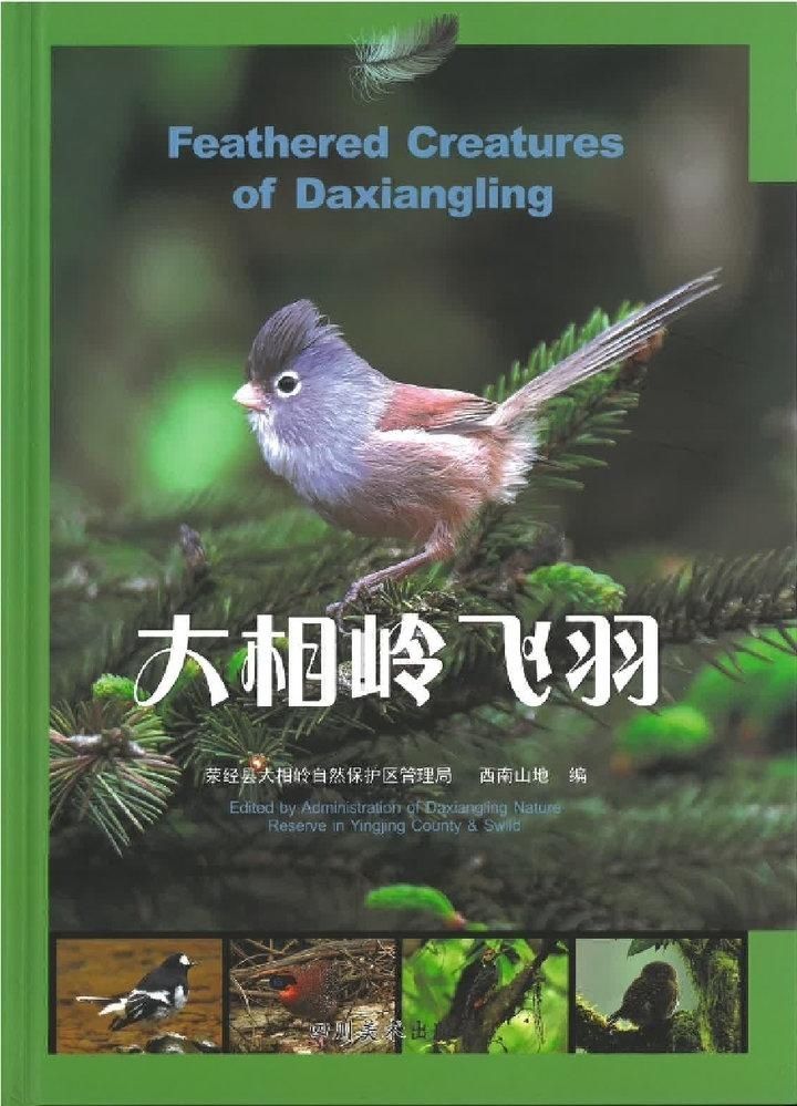 趣说雅州｜260余种野生鸟类，在这里全年可进行观鸟活动