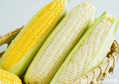 玉米能凈化血液，通腸潤便，可如此吃，就算生病也是自找的