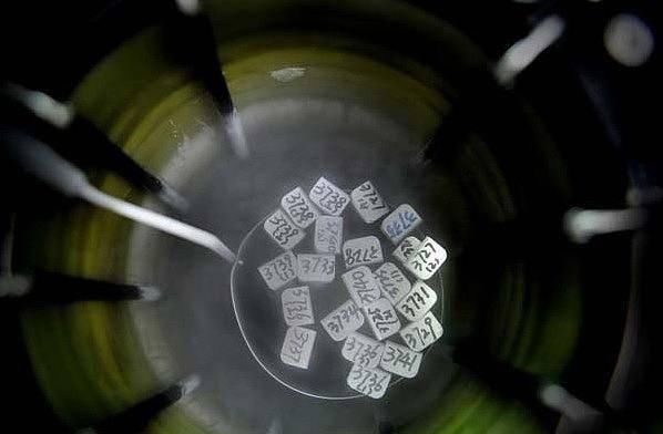 胚胎|揭秘试管婴儿全过程(附图)，看完后心疼女性一万遍