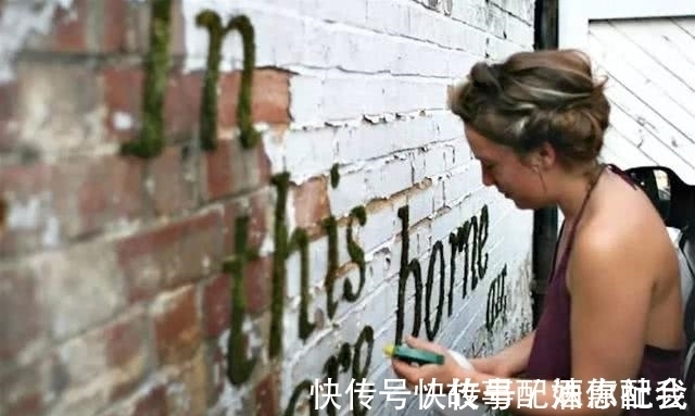 啤酒!他用酸奶、啤酒、苔藓把动物养在墙上,14天后的画面让人惊讶