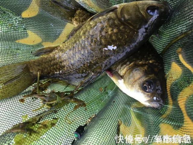 台钓|钓鱼中的“黑话”知多少?能听懂10个以上的是老钓手