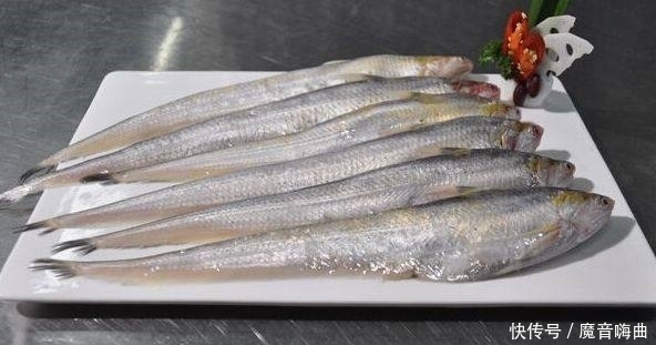 世界上最昂贵的五种食用鱼,一条几百万,叫人怎么下得了口!