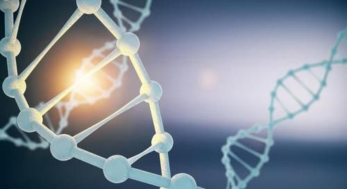 智商|男孩智商遗传于谁？还要被“遗传概念”骗多久，后天发育更重要