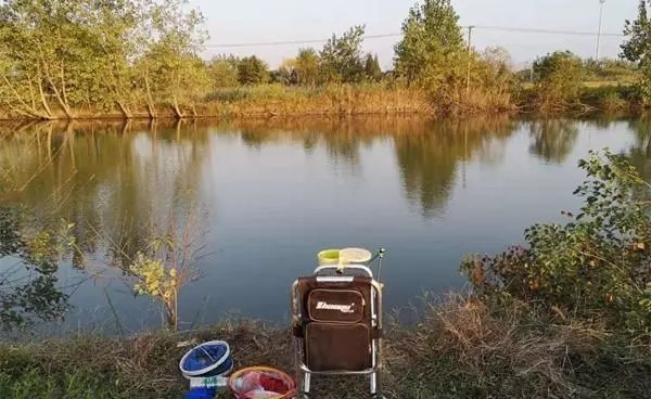 晚秋到初冬,大鲫鱼喜欢藏在这些地方,告诉你选钓位