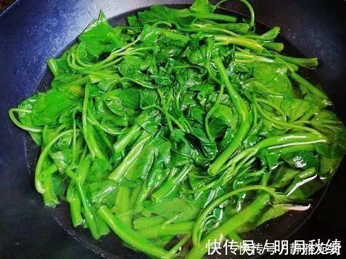 空心菜|它是“刮油王”,每天吃一回,肠道畅通,排出宿便,越吃越瘦
