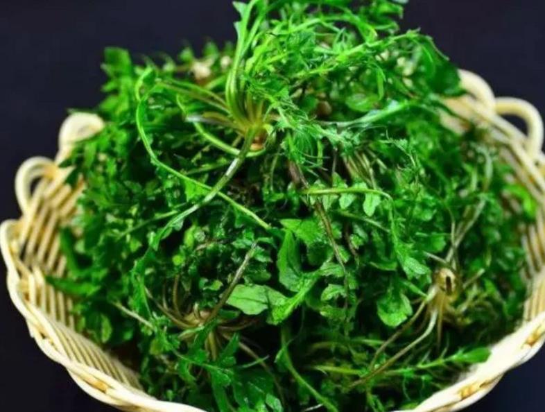 张医师|不想糖尿病缠身,3种“零食”多吃,平稳血糖,比打胰岛素强