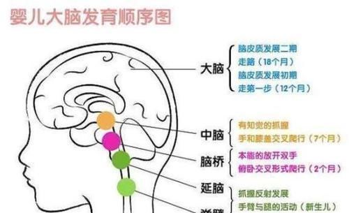 阶段|哈佛研究发现:孩子一生中有3次机会“变聪明”,家长别轻易错过