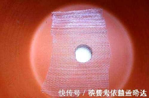 君子兰|养此2种花，花根一年长满盆，换盆不及时，想赏花都难了！