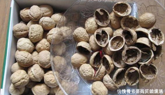 记忆力|核桃壳不要扔了，用水煮一煮，能解决许多人的烦恼，为健康需重视