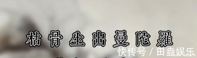 战队|李健战队队长，《中国好声音》九强学员，发布新歌