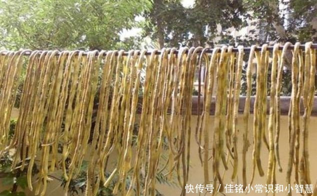 5种蔬菜晒干后,保存到冬季,比新鲜的更好吃,炒或者炖都很香