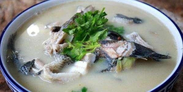 腥味|不管炖什么鱼,只要做到这三点,鱼汤就香,牛奶就白,没有腥味