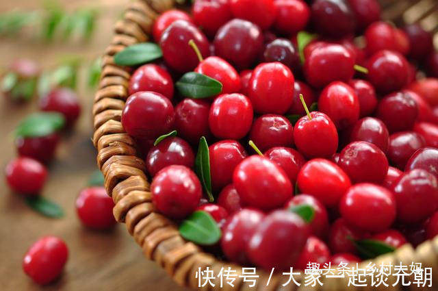 抗衰老|女性常吃4种天然食物,消炎杀菌、告别妇科病、保护子宫、抗衰老