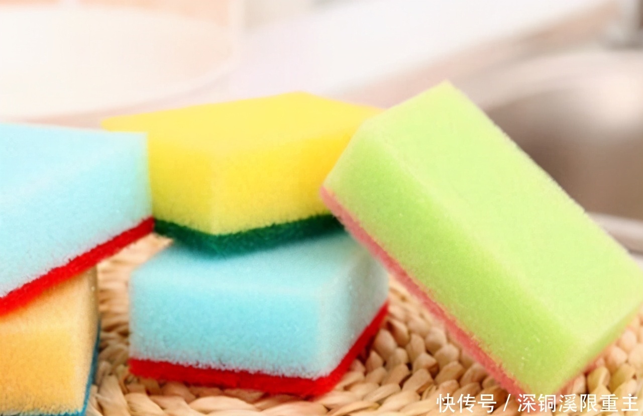 扦插好方法养花繁殖下一代,试试这3招,简单好使