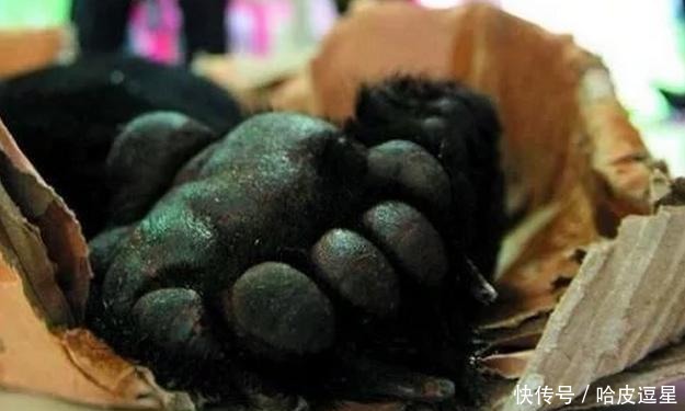 太子|太子要造反杀皇帝，临死前请求吃一道菜被拒绝，原因无语