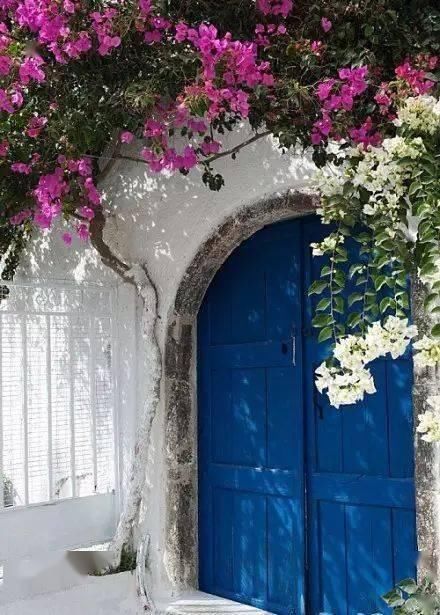 春天种上爬藤植物，夏天花儿爬满墙！