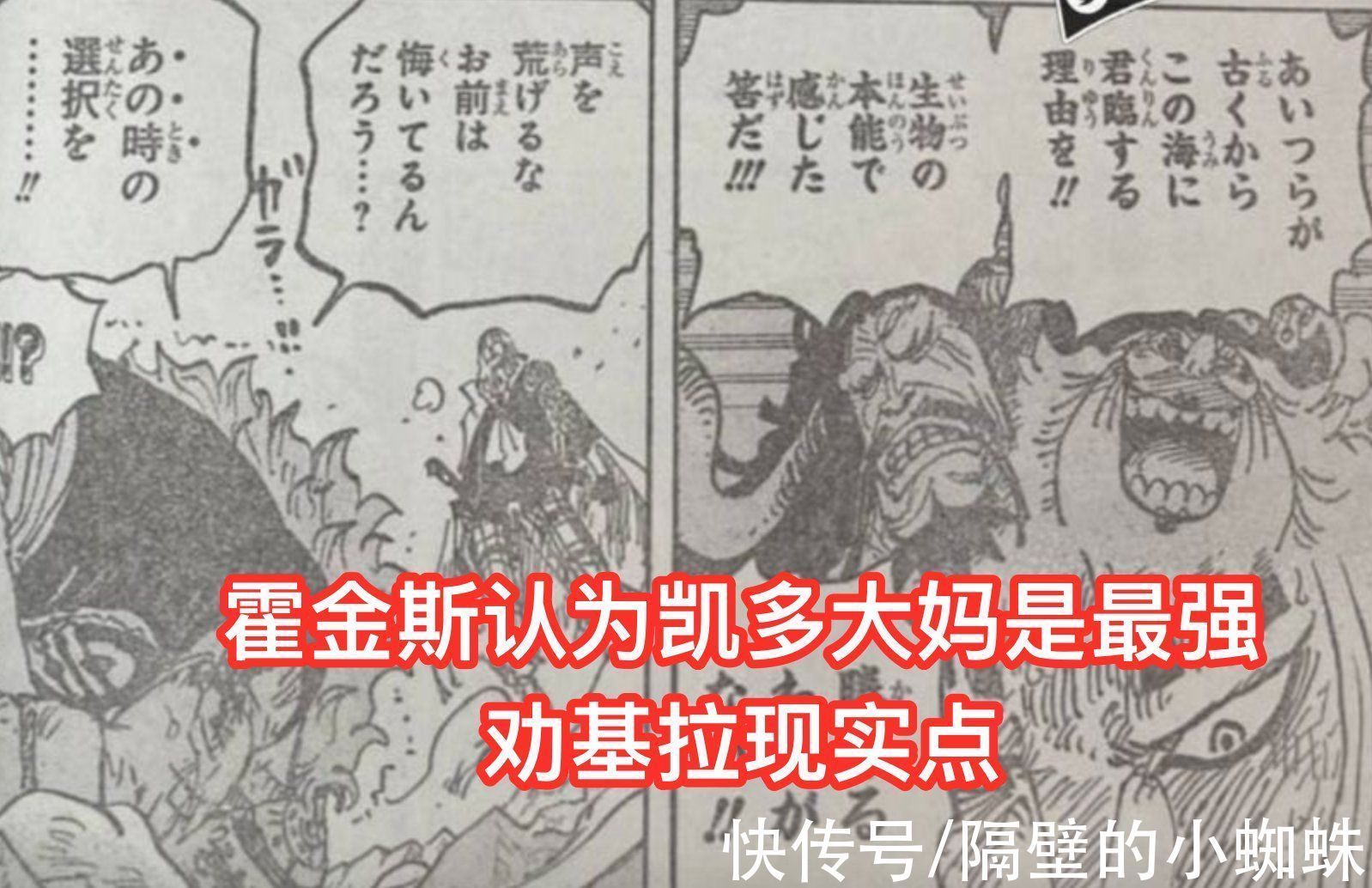 小蜘蛛|海贼王1029话图透,基拉求霍金斯放过基德,他可以用自己的命换