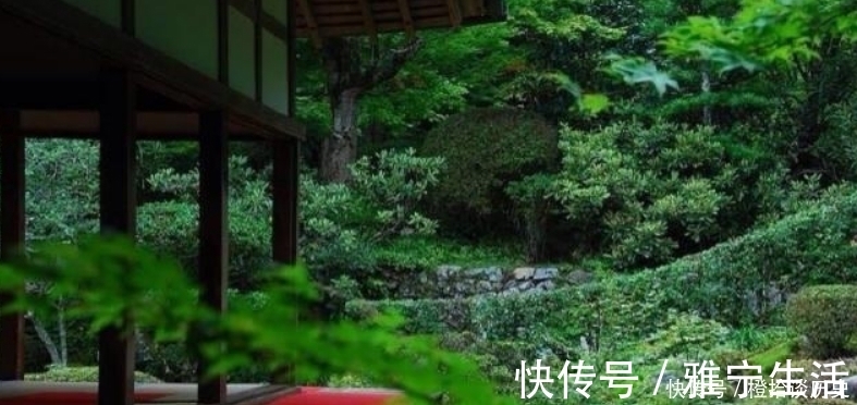 名篇&范成大最经典的一首诗,更是惊艳了世人800年,成为了千古名篇