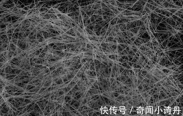 人体$0.1纳米的线,光速切过身体,会发生什么?答案出乎意料