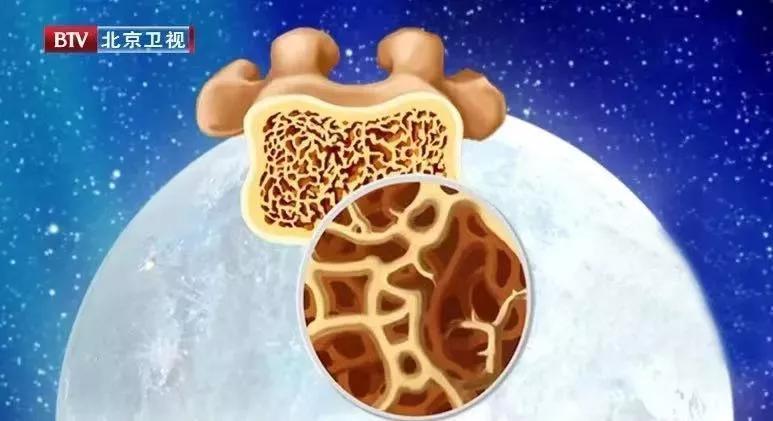 中老年人|抗衰老的“秘方”,就藏在寻常食物中,助你吃得香、皮肤光滑弹性