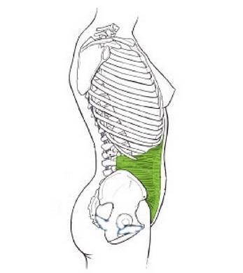 卧推凳腹肌锻炼法|39岁韩国模特,腹肌性感迷人,“卧推凳腹肌锻炼法”快速练同款