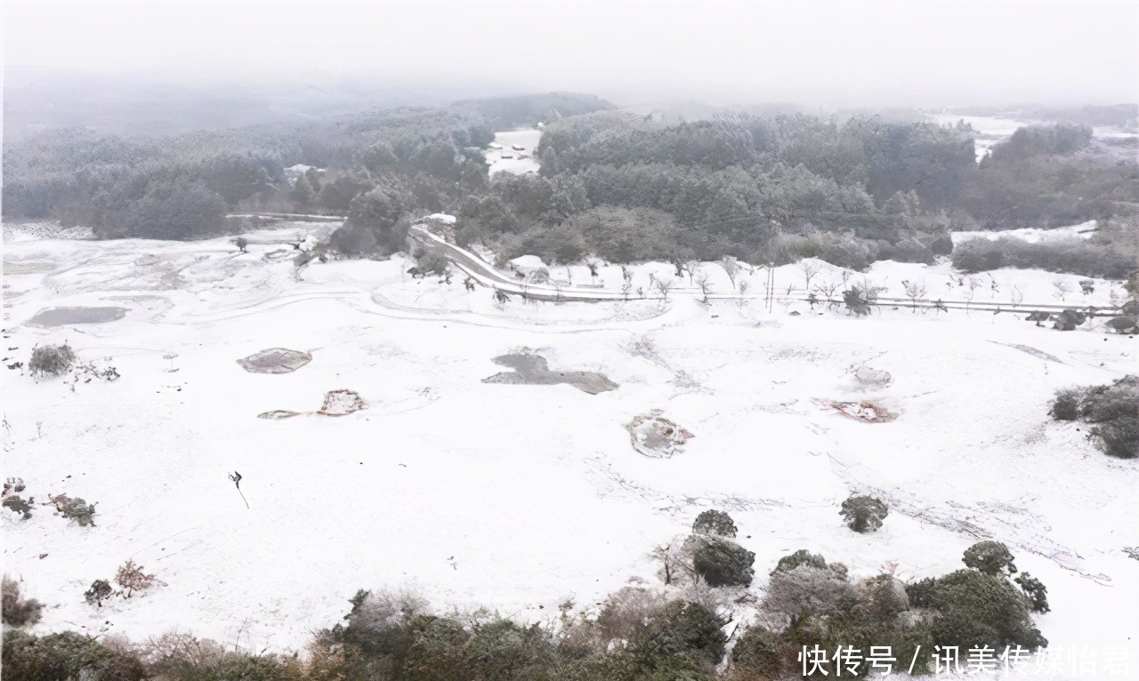 贵州旅游｜毕节的百里杜鹃，一下雪就美成仙境