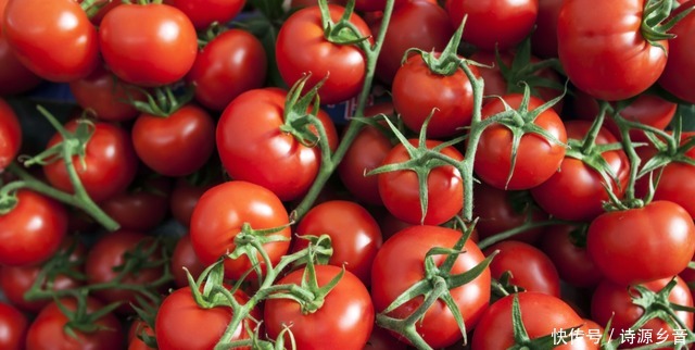 搭配|西红柿营养丰富,却不适合与这2种食物搭配,不妨了解一下!