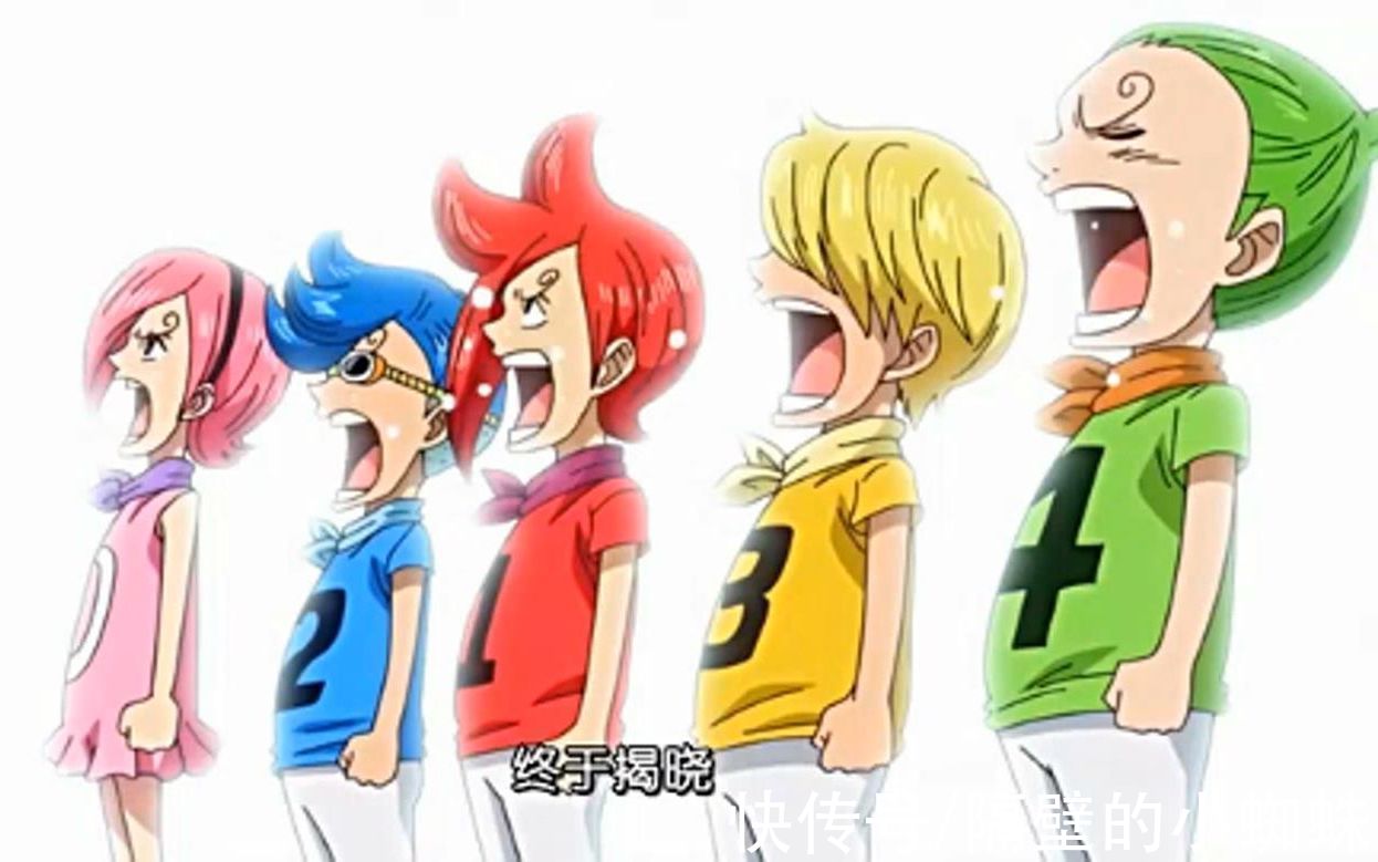 身世|是“血统论”拯救了《海贼王》，还是把它当成资本牟利的工具？