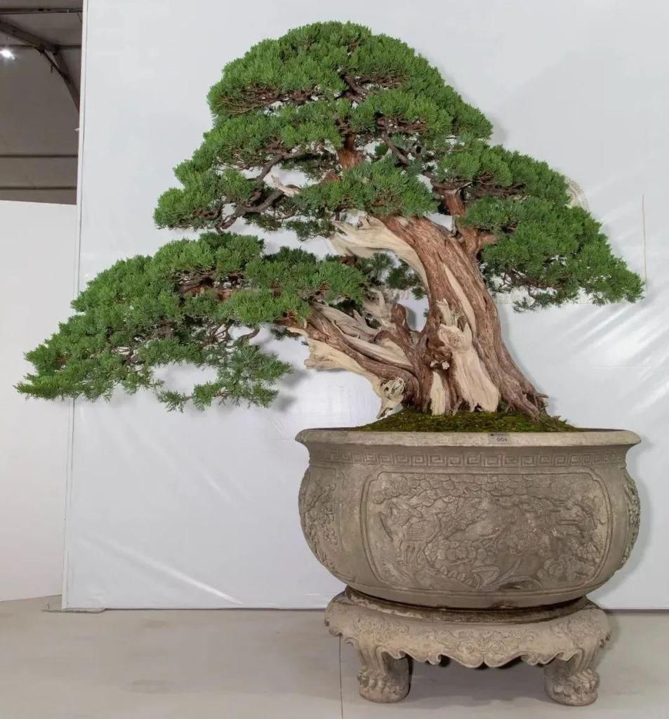  全记录|我的打分是这样来的——2020中国尊首席大奖评委陈友贵打分全记录