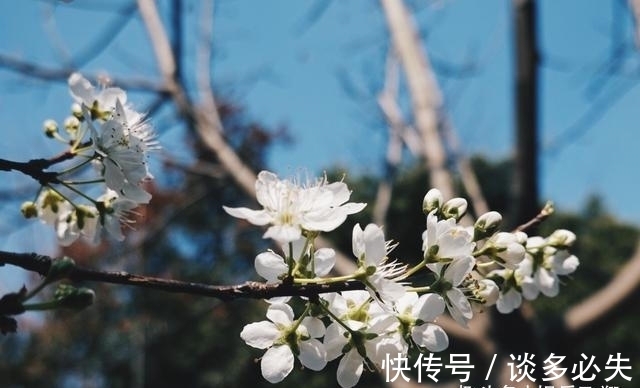 恋爱中|日思夜想，心心念念，良人相伴，旧爱转身，爱意成真