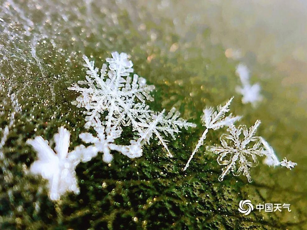 北京下雪了！故宫红墙白雪琉璃瓦美如画