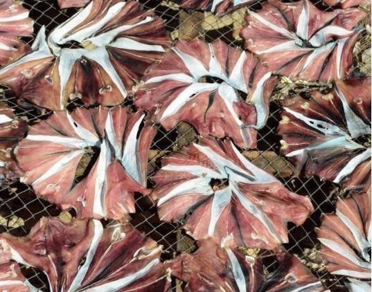 柿饼|提醒中老年花生瓜子要少吃,多吃这几物, 胜过天天去跑步