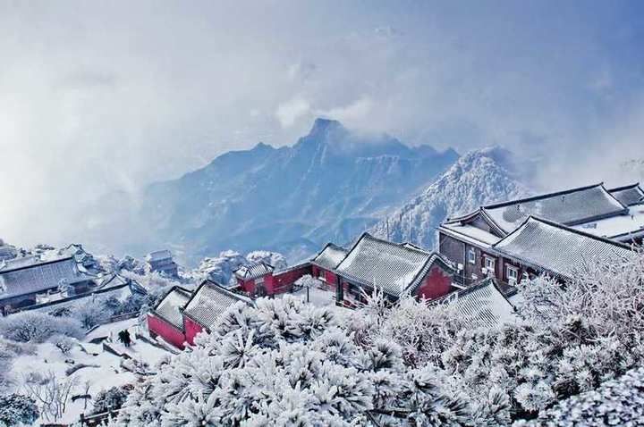 明月照|飞雪满群山，遐思醉冬梅