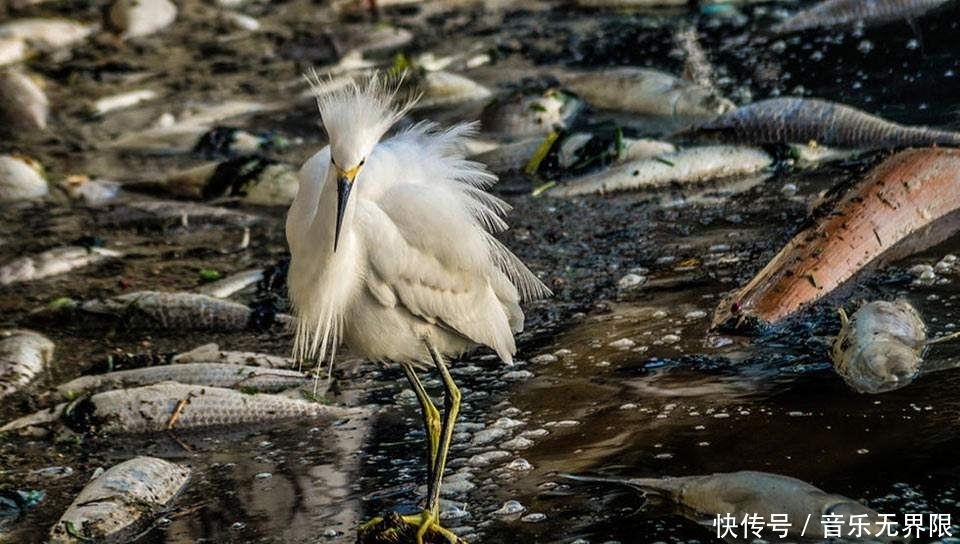 俄科学家提出建议,建造半径220公里太阳伞,为了防止全球变暖