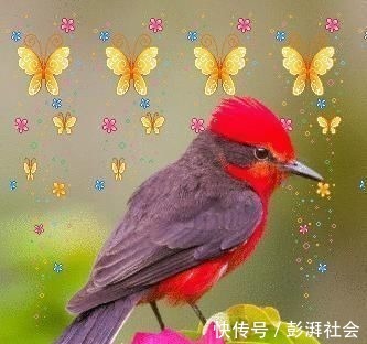 人心!良言20句,见证人心,看透人性看一次胜读十年书